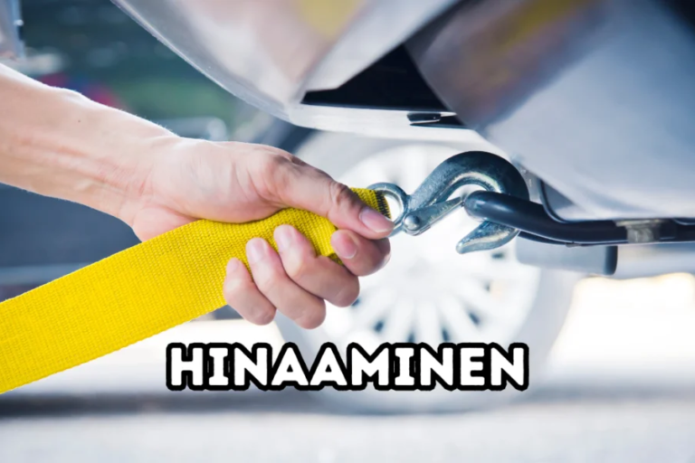 Hinaaminen: A Comprehensive Exploration of Finnish Concepts and Challenges